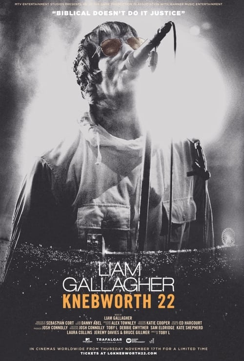 Watch Liam Gallagher: Knebworth 22 Movies Online