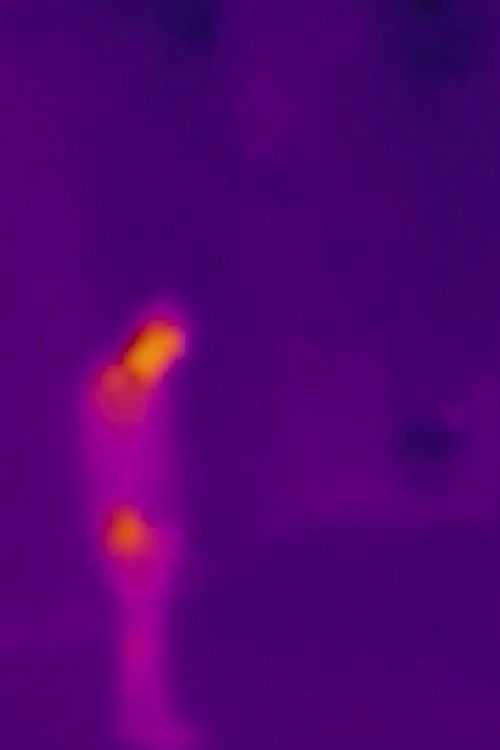 چگونه به پرواز درآمدم؟