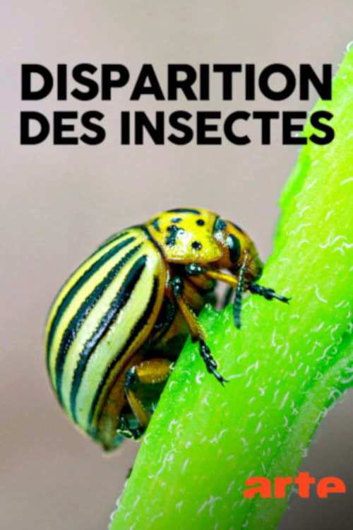 Poster Das große Insektensterben 2018