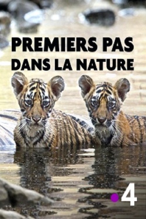 Premiers pas dans la nature movie poster player