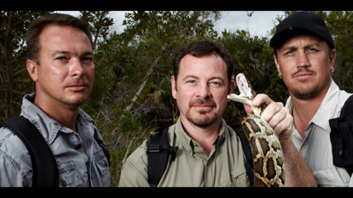 Python Hunters Backdrop Blur