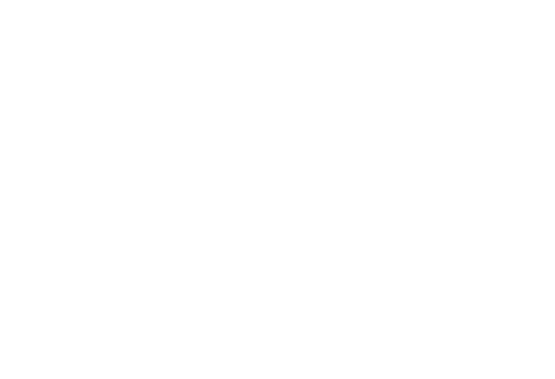 Sisid