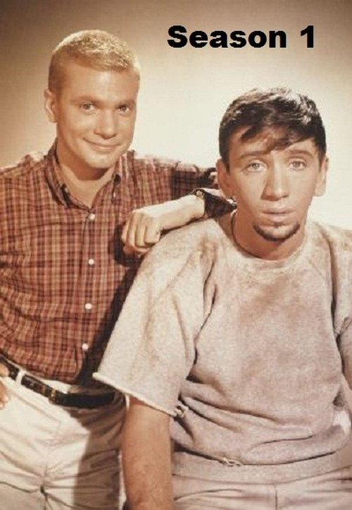Ver temporada 1 de The Many Loves of Dobie Gillis Póster de la temporada 1 de la serie The Many Loves of Dobie Gillis