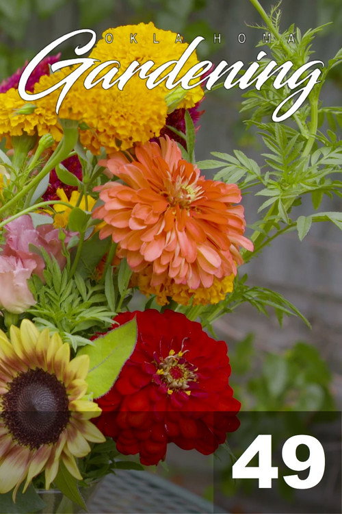 Oklahoma Gardening - Season 49 Poster Blur