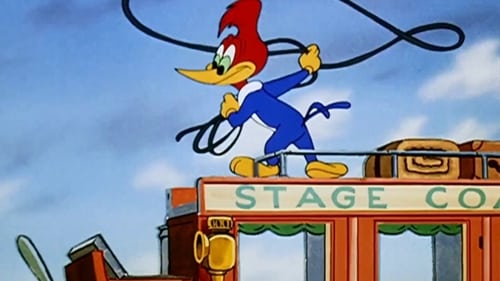 Poster della serie The Woody Woodpecker Show