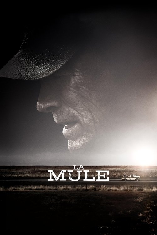 Poster image du film La Mule La Mule