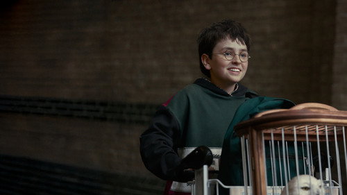 Harry Potter