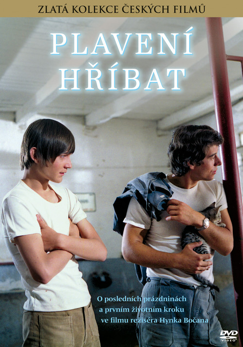 Plavení hříbat poster