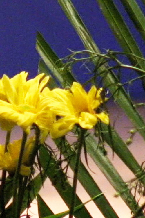 The Model Family Award