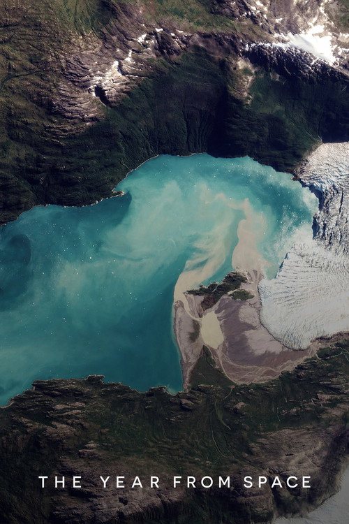 The Year from Space