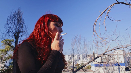 Gabriela Misstrans: Dissident Delirium still