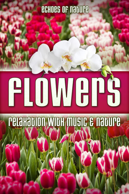 Flowers: Echoes of Nature Relaxation with Music & Nature poster