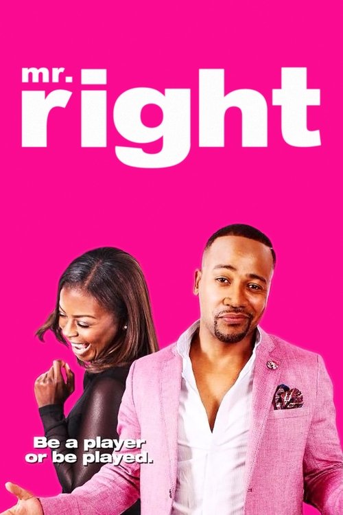 Mr. Right (2015)