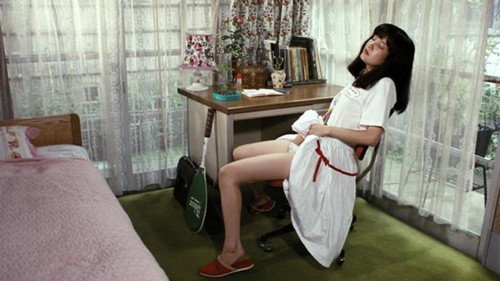 High School Girl's Diary