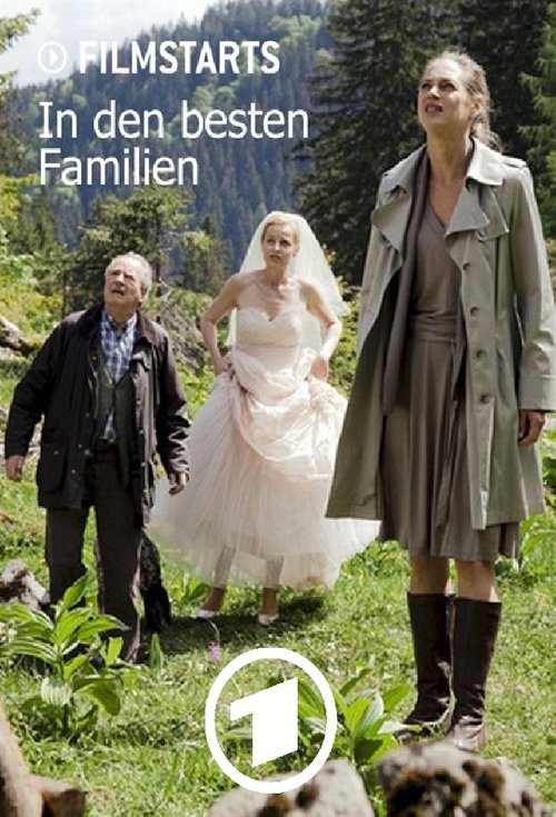 In den besten Familien movie poster player