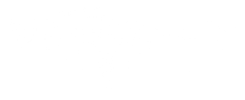 Dr. Havoc's Diary