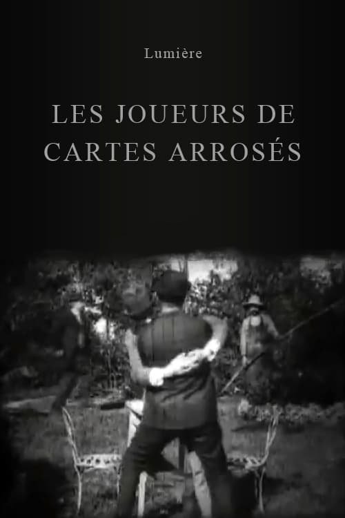 Joueurs de cartes arrosés