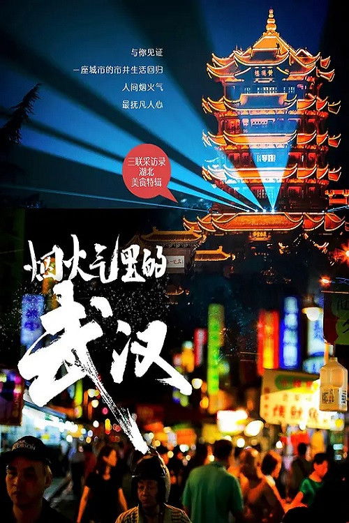 烟火气里的武汉 (2020) poster