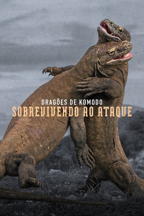 Dragões de Komodo: Sobrevivendo ao Ataque