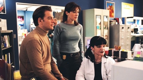 Poster della serie NCIS