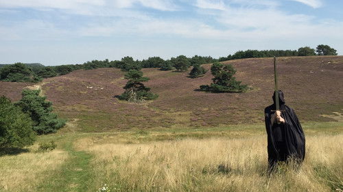 Visions of the Shadow Kingdom