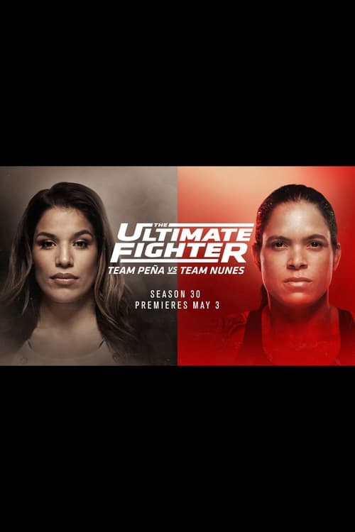 The Ultimate Fighter, S30E01 - (2022)