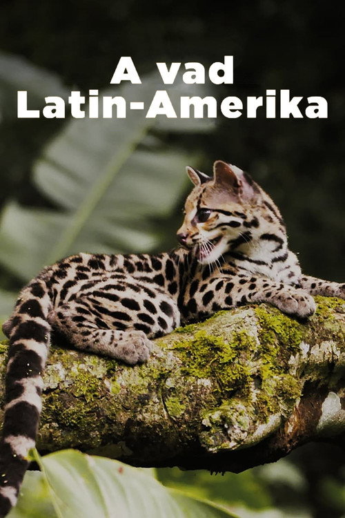 A vad Latin-Amerika filmplakátja