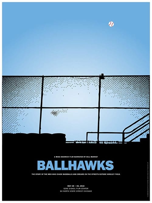 Ballhawks poster