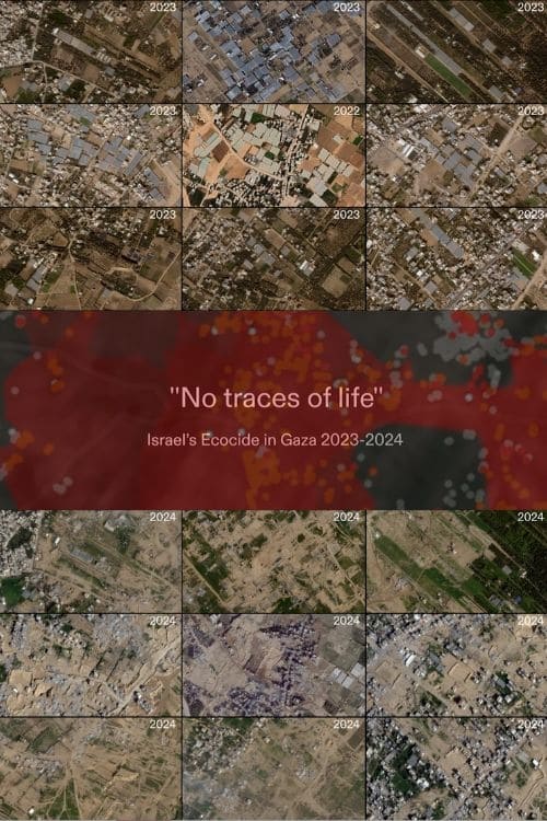 No Traces of Life (2024)