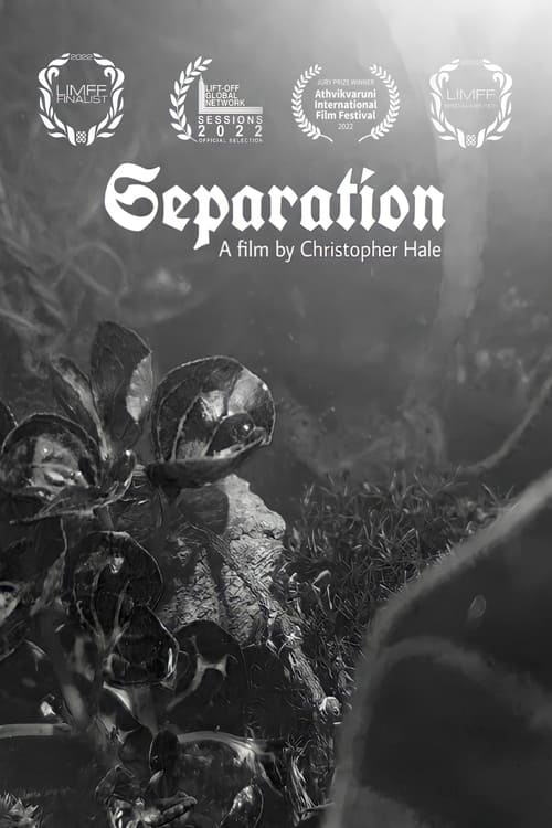 Separation (2022) poster