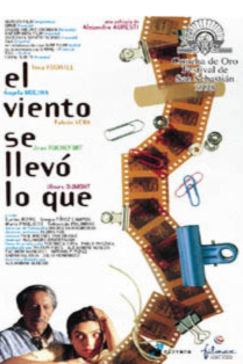 El viento se llevó lo qué (1998) poster