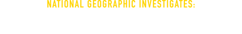 National Geographic Investigates: The Fall of Osama Bin Laden