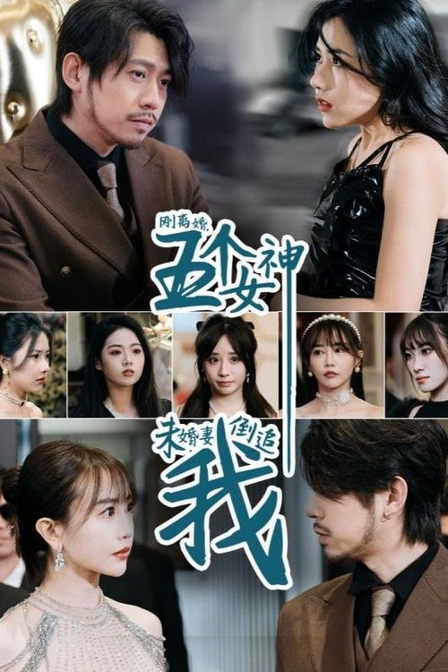 刚离婚,五个女神未婚妻倒追我