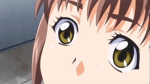 Shame's Recollection