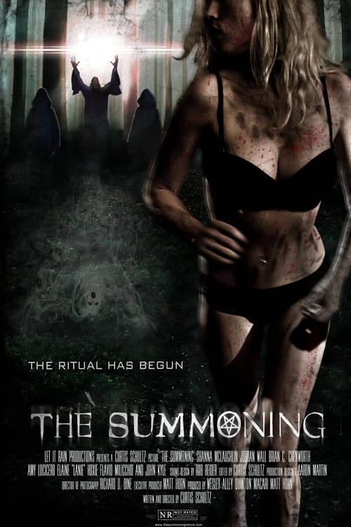 The Summoning (2014) poster