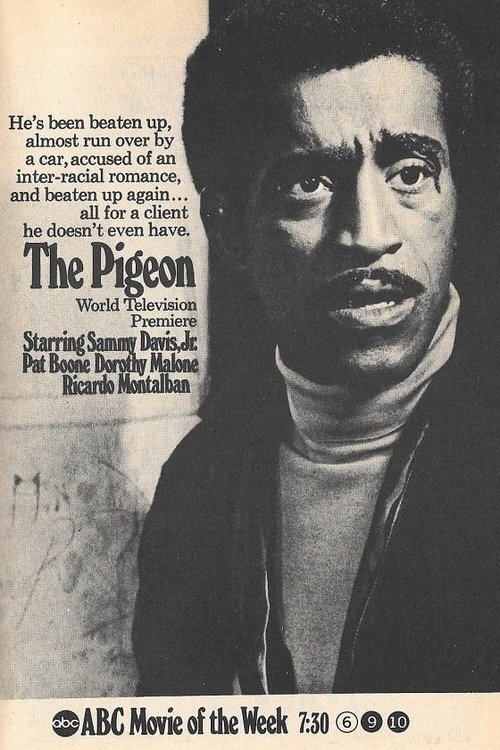 The Pigeon movie poster player