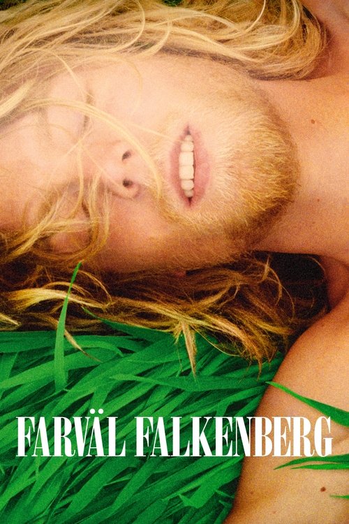 Farväl Falkenberg (2006) poster