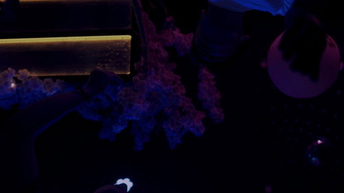 ULTRAVIOLETA still