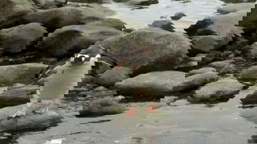 Image de l'épisode 28