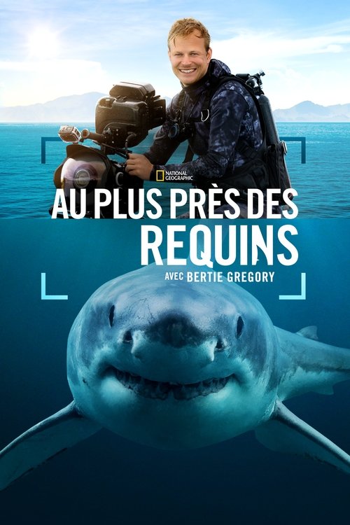 Sharks Up Close with Bertie Gregory poster