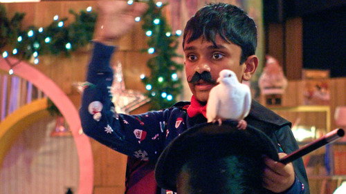 Can You Wrap a Pigeon?