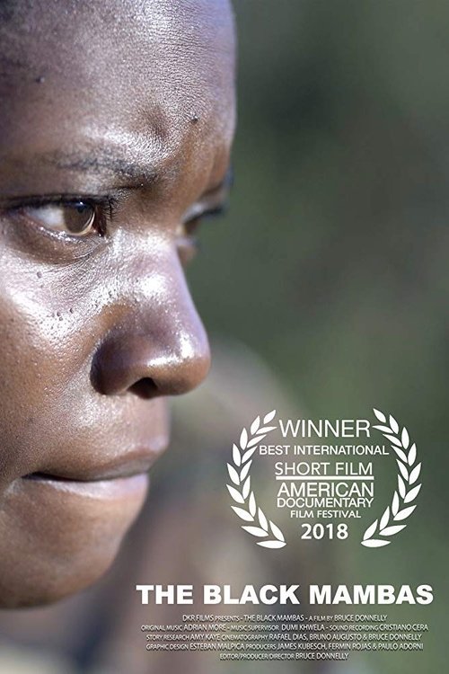The Black Mambas movie poster player