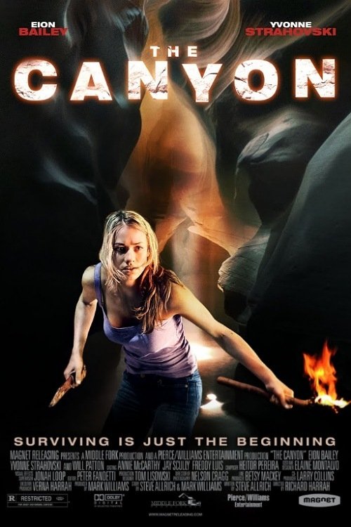 Grootschalige poster van The Canyon