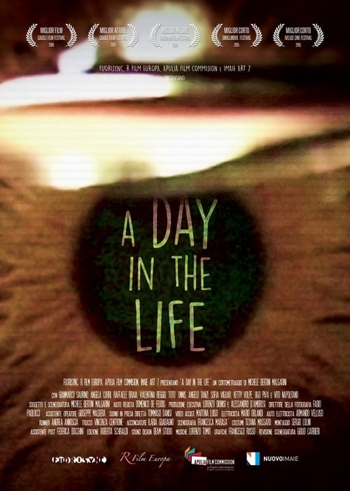 A Day in the Life 2015