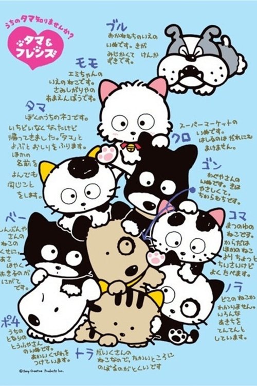 Poster Tama and Friends