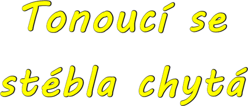 Le Petit Baigneur