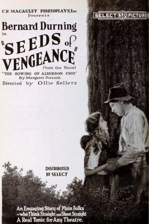 Seeds of Vengeance (1920) poster