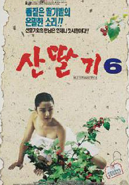 Mountain Strawberries 6 (1994)