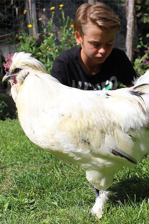 Marian und die Waldrappe