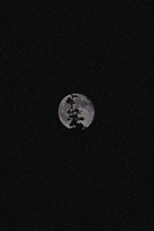 Cartell de Lunar Visions II